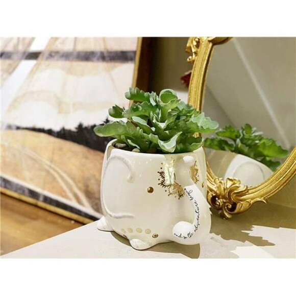 Artificial Succulent with Planter Pot and Ceramic Planter Pot - Picture 6 of 7